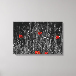Canvas Print - Red Solitude Poppies