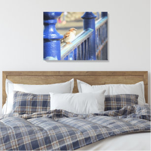 Canvas print - Sparrow on fence