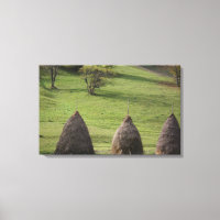Canvas Print Straw Bales