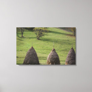 Canvas Print Straw Bales