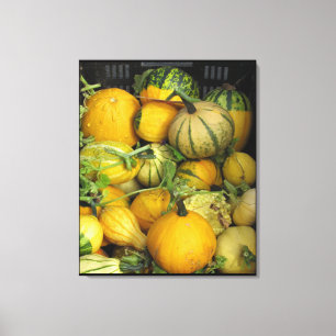 Canvas print - Summer squash