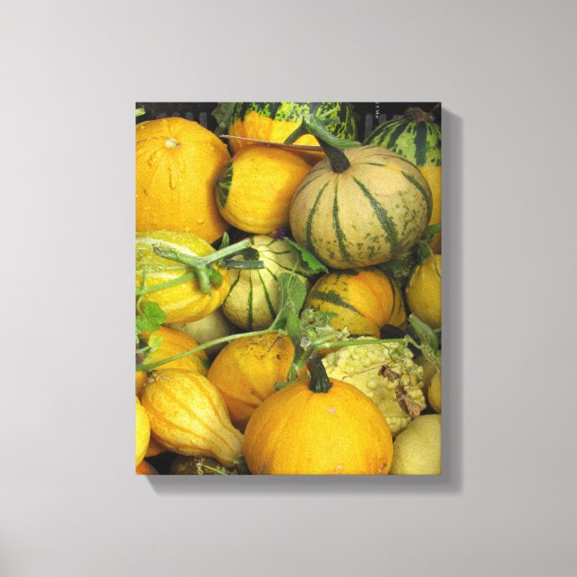 Canvas Print - Summer squash 1 (Front)
