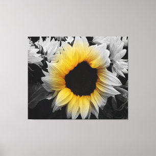 Canvas Print - Sunflower