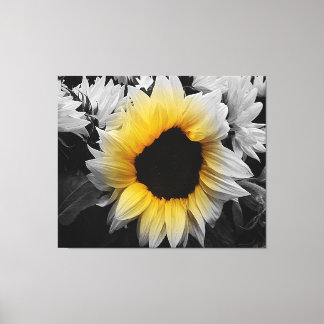 Canvas Print - Sunflower