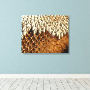 Canvas Print - Sunflower Seeds