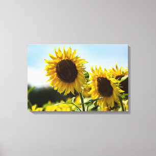 Canvas Print - Sunflowers Summer Radiance