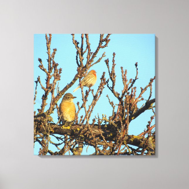Canvas Print - Two Birds in Branches (Front)
