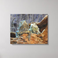 Canvas Print with curious lizards