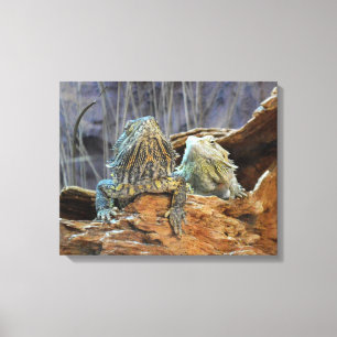 Canvas Print with curious lizards
