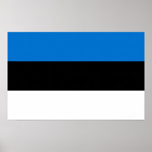 Canvas Print with Flag of Estonia