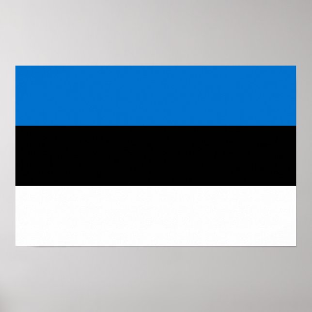Canvas Print with Flag of Estonia (Front)