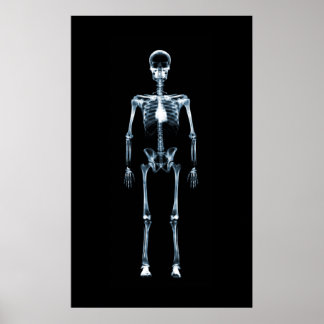 Canvas Print X-Ray Vision Blue Single Skeleton