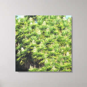 Canvas Print - Yucca Plants (2 panel)