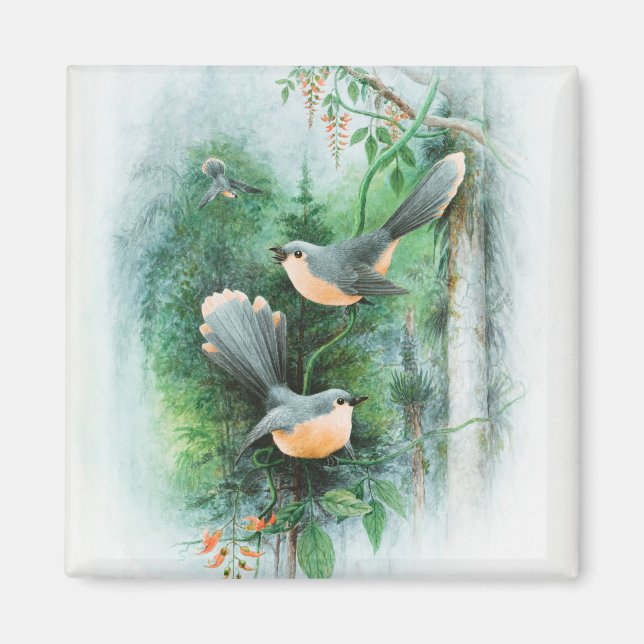 Canvas printing  magnet (Front)