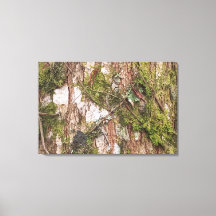 CANVAS SCREEN FRAME DECORATION NATURE NEW TREE