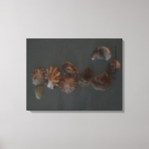 Canvas (SeaShell SeaHorse) RFPMDesigns ©️2012 Print