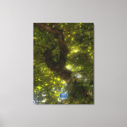 Canvas (Sun Green Tree 2) RFPMDesigns ©️2021/24 Print