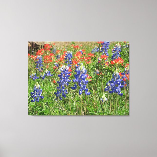 Canvas Texas Wildflowers Bluebonnets Paintbrushes Print (Front)