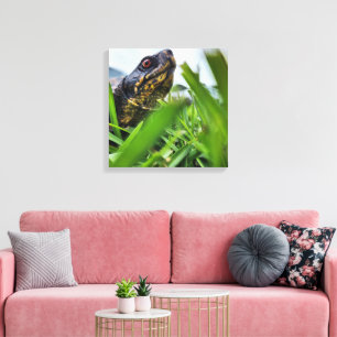 Canvas Turtle Close Up Print
