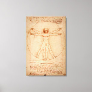 Canvas Vitruvian Man by Leonardo da Vinci Print