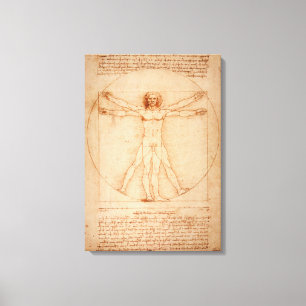 Canvas Vitruvian Man by Leonardo da Vinci Print
