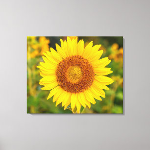 Canvas Wall Art-Sunflower Print