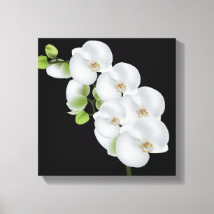 Canvas Wall Art-White Orchids
