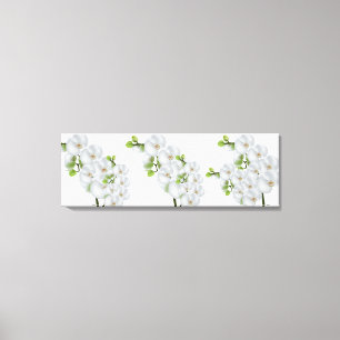 Canvas Wall Art-White Orchids Print