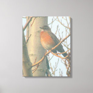 Canvas - Winter Robin Print