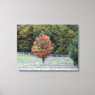 CANVAS WRAP PRINT/MULTI-COLORED TREE IN FIELD PRINT