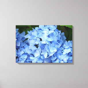 Canvas - Wrapped - Blue Hydrangea Print