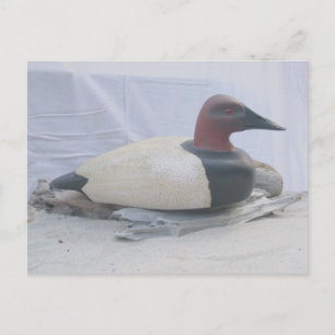 Canvasback Duck Decoy Postcard