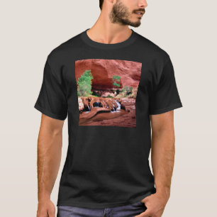 Canyon Coyote Gulch Escalante Riverutah T-Shirt