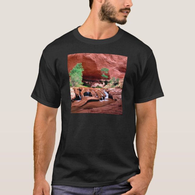 Canyon Coyote Gulch Escalante Riverutah T-Shirt (Front)