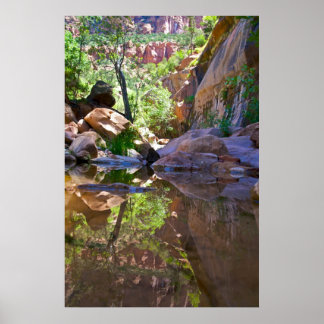 Canyon Mirror Poster