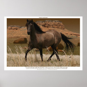 CANYON MUSTANG Horse Conservation Art Print