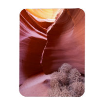 Canyon of many colours