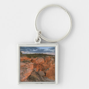 Canyon overlook in the Island in the sky Key Ring