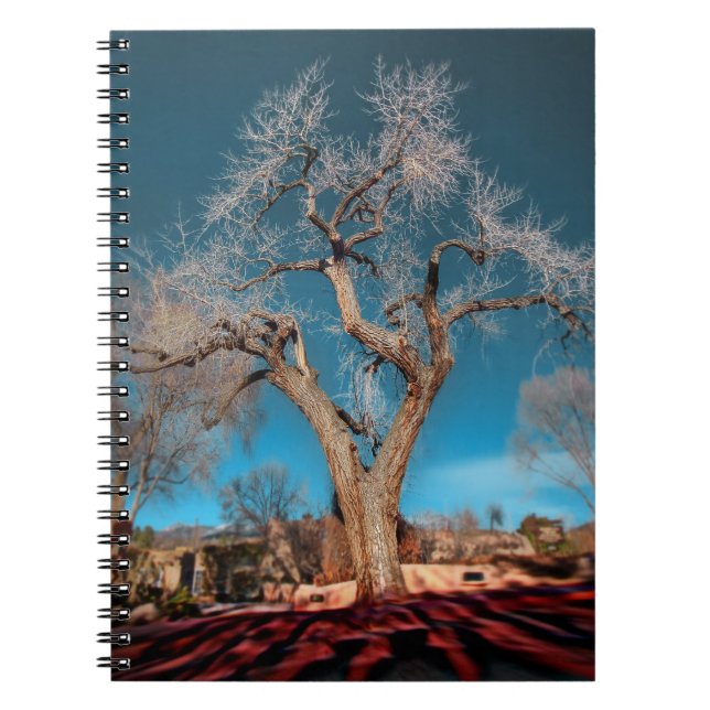 Canyon Road Tree Notebook (Front)