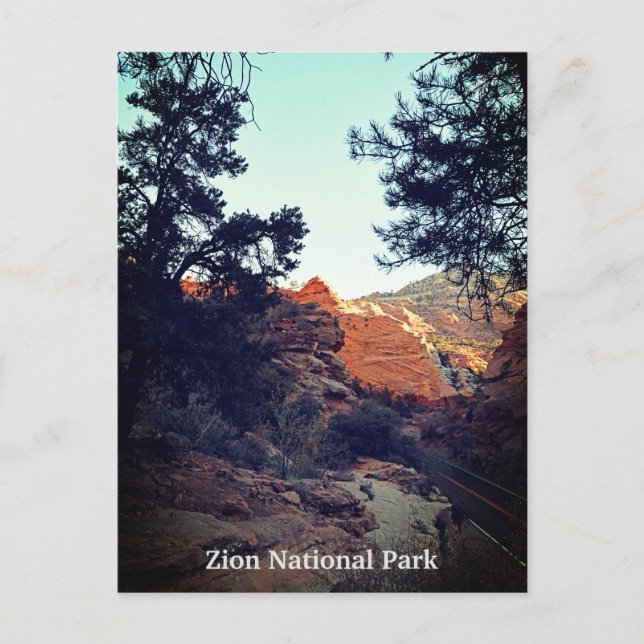 Canyon Trail Zion National Park, Utah Postcard (Front)