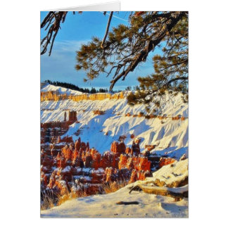 Canyon Winter Snow Pine Trees Utah