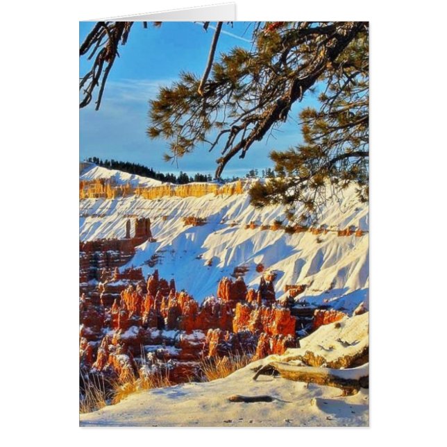Canyon Winter Snow Pine Trees Utah (Front)