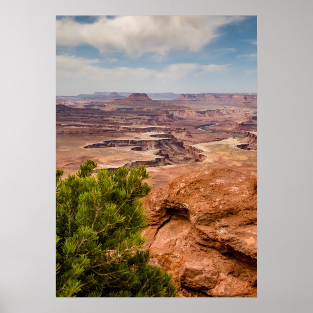 Canyonlands National Park Poster (Front)