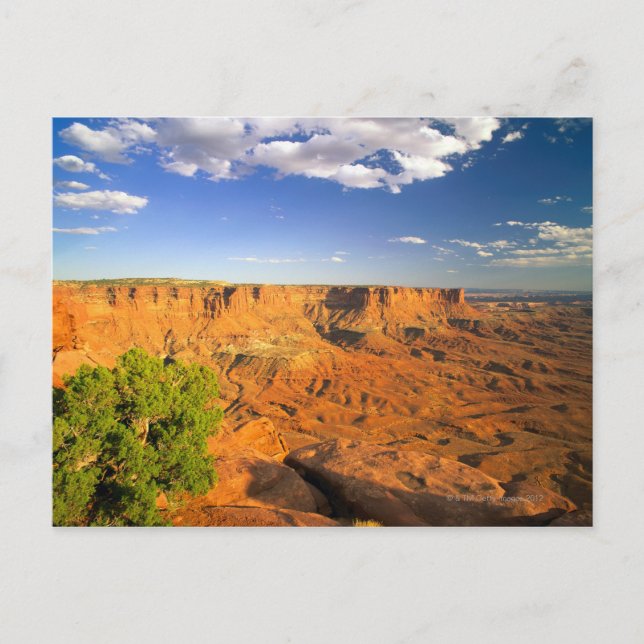 Canyonlands National Park, Utah, United States Postcard (Front)