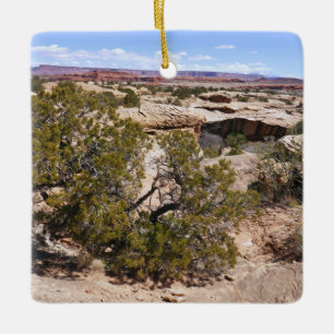 Canyonlands View from Cave Springs Trail Ceramic Ornament