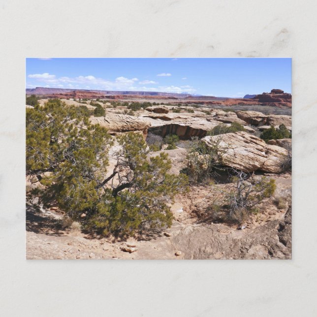 Canyonlands View from Cave Springs Trail Postcard (Front)