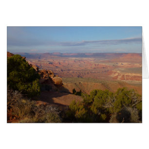 Canyonlands View from Grand View Point Trail
