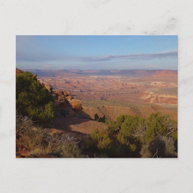 Canyonlands View from Grand View Point Trail Postcard (Front)