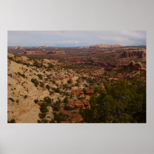 Canyonlands View from Neck Springs Trail Poster