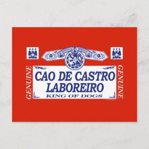 Cao De Castro Laboreiro Postcard